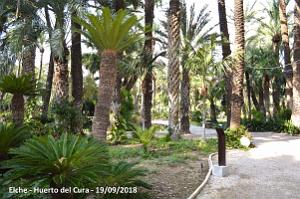 19 ELCHE HUERTO DEL CURA (57)
